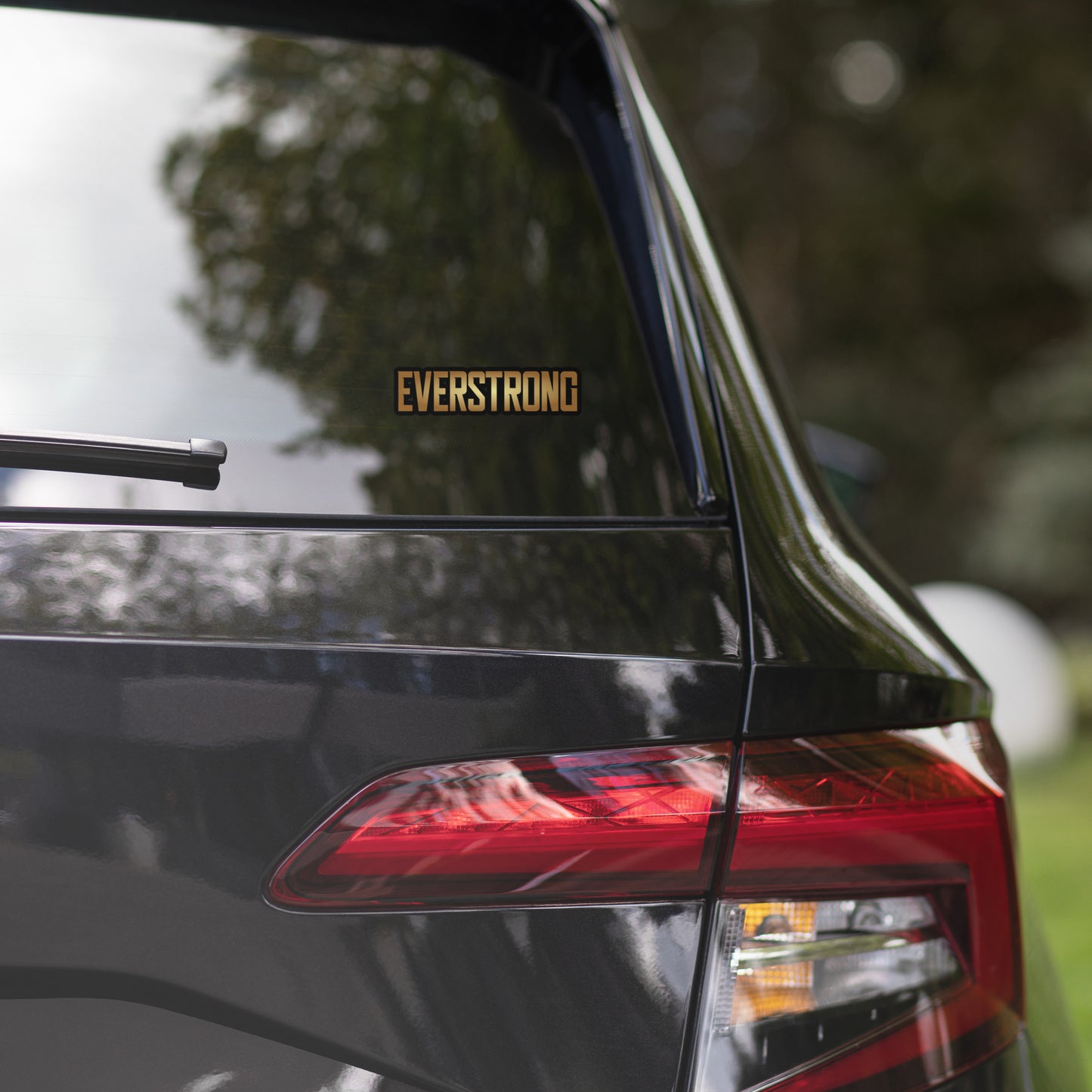 EVERSTRONG - Stickers